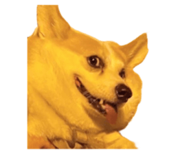 646615657