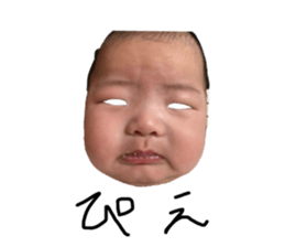 646632847