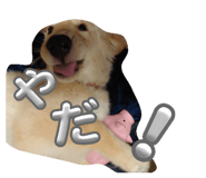 646634370