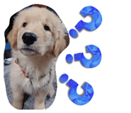 646634372