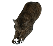 646652671