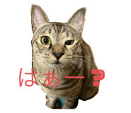 646652673