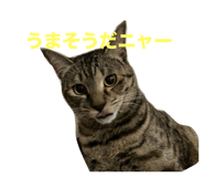 646652674