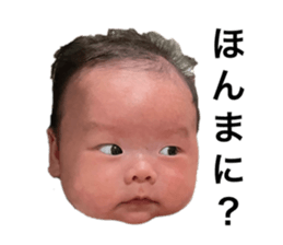 646654254