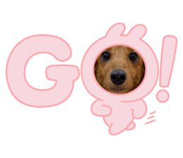 646675261