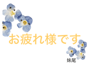 646733167