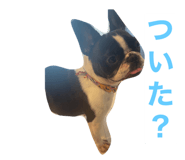 646734090