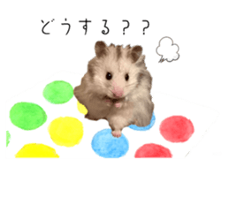 646734231