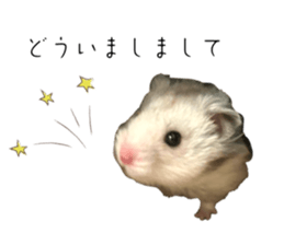 646734236