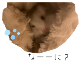 646734241