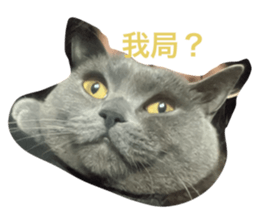 646735032