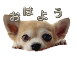 646736390