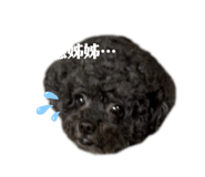 646744046