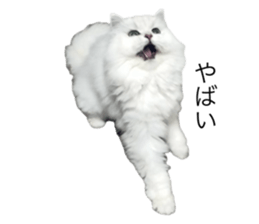 646756250