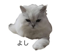 646756270