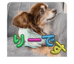 646757369