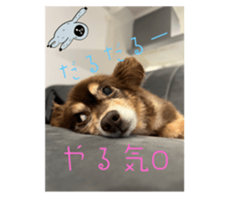646757373