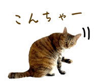 646758562
