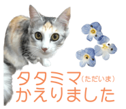 646758565