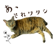 646758590