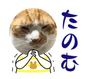 646758594