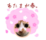 646758595