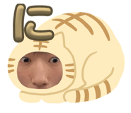 646767833