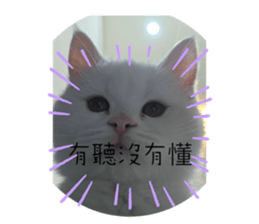 646768742