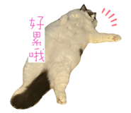646779825