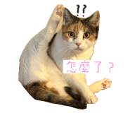 646779826