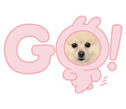 646783750