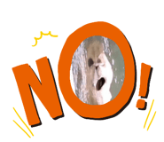 646797554