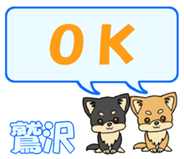 646798664
