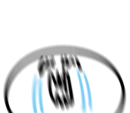 ลายที่ 71