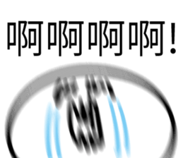 646809489