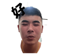 646810637