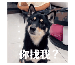 646826890