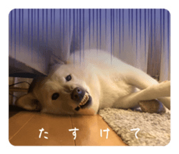 646827876