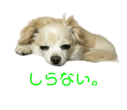 646833999