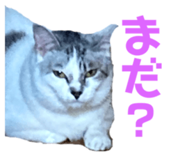 646863186