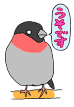 646866