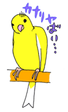 646873