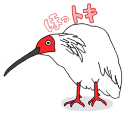 646881