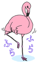 646884