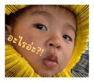 646884614