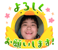 646888517