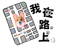 646891129