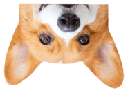 646891132