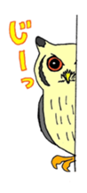 646894