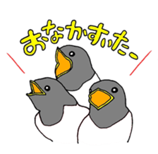 646898